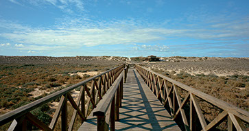 the walkway to the beach 